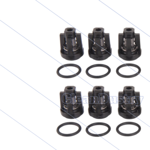 Kit 134 - Klep en O-ring (4x) Greenjet - Cleanmatic - Bluetime